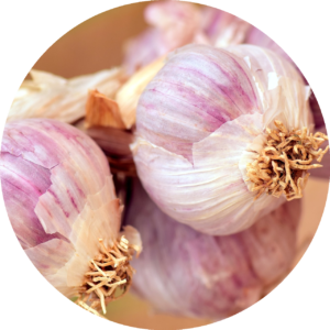 Knoblauch