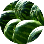 riesenmelonen_rund