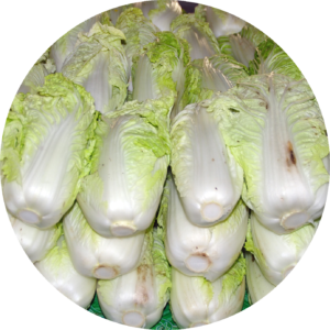 Chinakohl