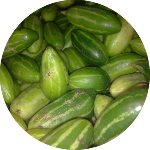 Tindola
