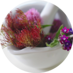 salben_und_oele_rund