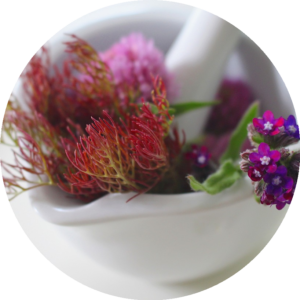 Salben und Öle aus dem Garten?